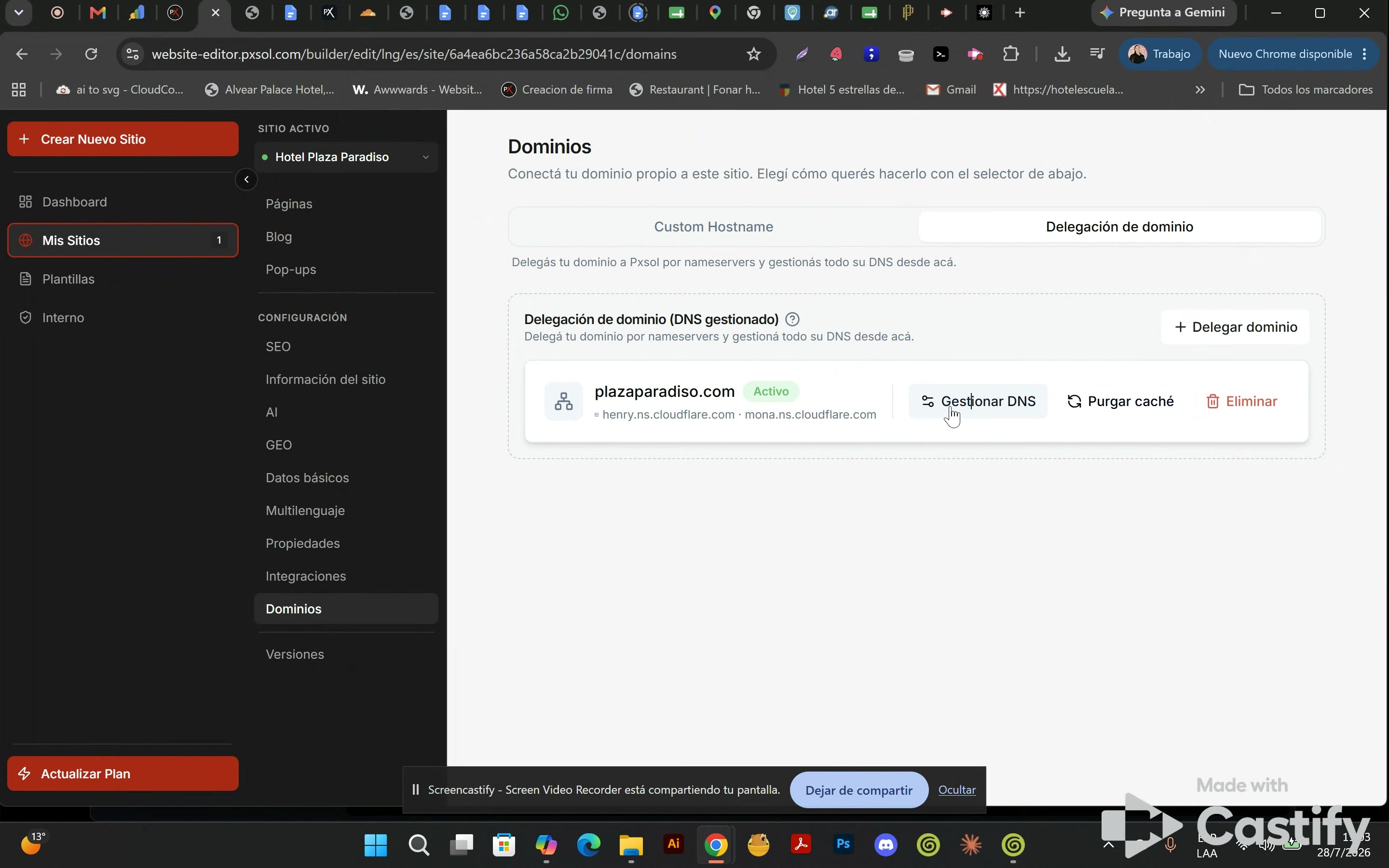 Botón 'Gestionar DNS' al lado del dominio activo.