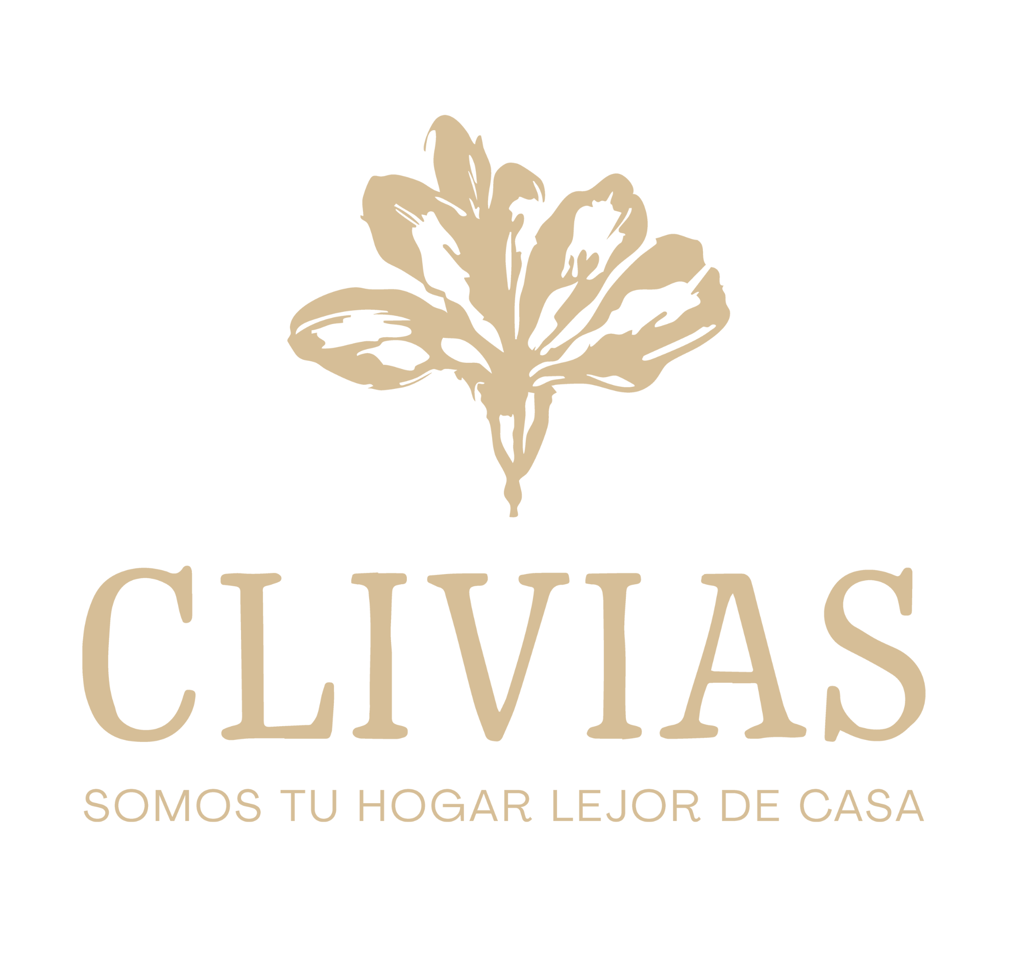 Clivias Hostel